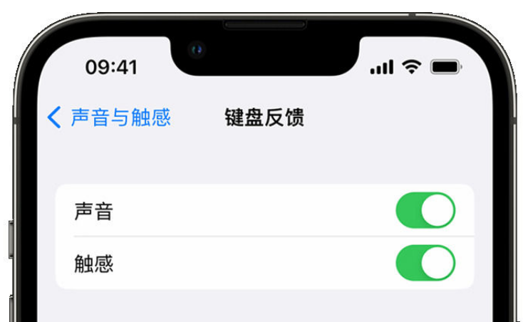 包河苹果手机维修分享iPhone 14触感键盘使用方法 