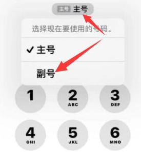 包河苹果14维修店分享iPhone 14 Pro Max使用副卡打电话的方法 