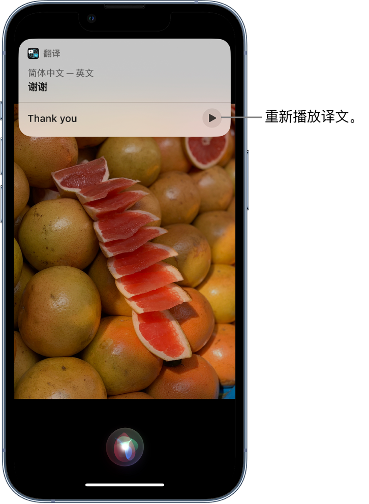 包河苹果14维修分享 iPhone 14 机型中使用 Siri：了解 Siri 能帮你做什么 