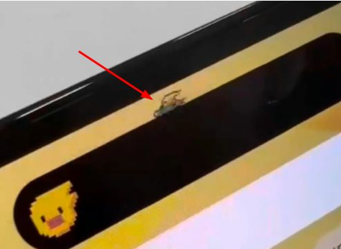 包河苹果14维修分享iPhone 14 Pro Max灵动岛怎么养宠物 