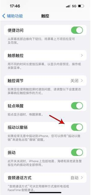 包河苹果手机维修分享iPhone手机如何设置摇一摇删除文字 