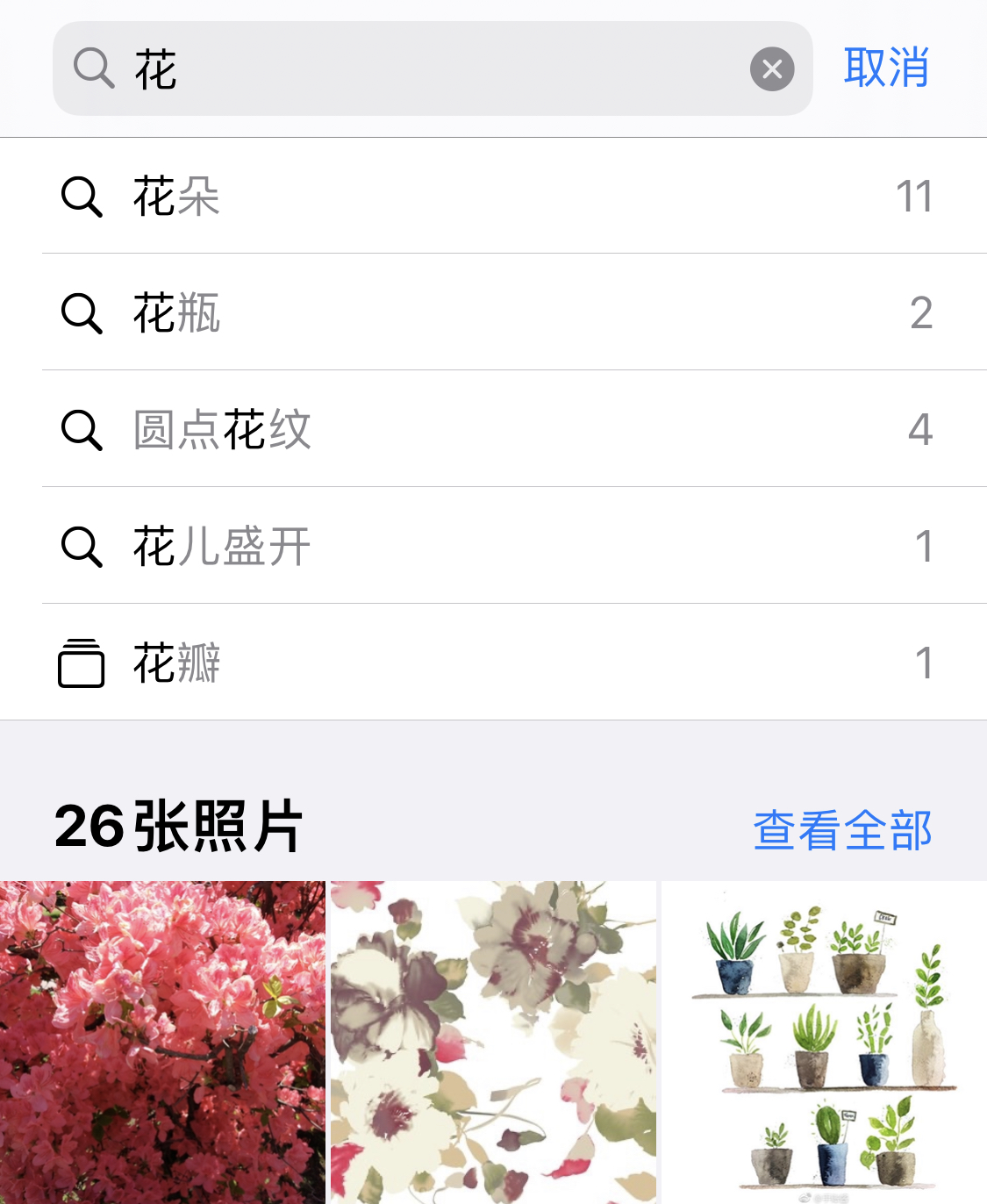包河苹果手机维修分享iPhone 小技巧 
