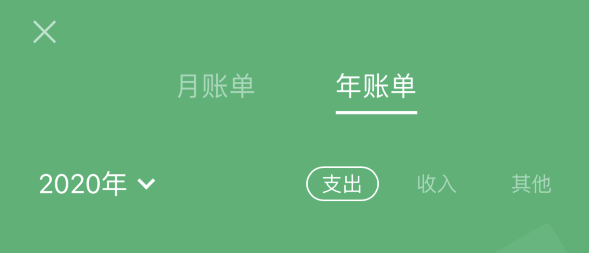 包河苹果手机维修分享如何在 iPhone 上查看支付宝和微信年支出账单 